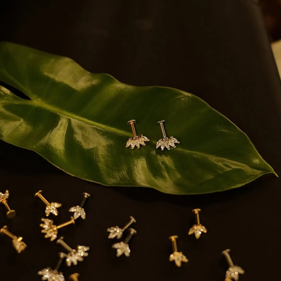 Body piercing by Instyle Tattoo Studio, Kochi